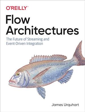 Flow Architectures