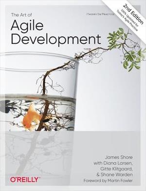 Art of Agile Development