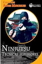 Ninjutsu