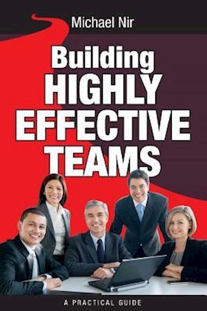 Building Highly Effective Teams: How to Transform Virtual Teams to Cohesive Professional Networks - a practical guide