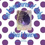 The Adventures of Joshua Mines & Caverns