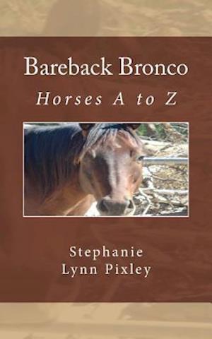 Bareback Bronco