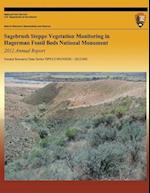 Sagebrush Steppe Vegetation Monitoring in Hagerman Fossil Beds National Monument