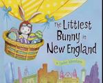 The Littlest Bunny in New England