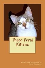 Three Feral Kittens