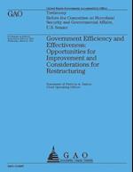 Government Efficiency and Effectiveness