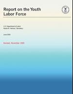 Report on the Youth Labor Force