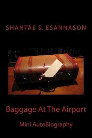 Baggage at the Airport