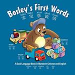 Bosley's First Words (Bao Bao Xue Shuo Hua)