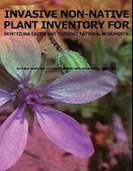 Invasive Non-Native Plant Inventory for Montezuma Castle and Tuzigoot National Monuments
