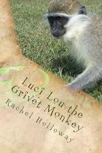 Luci Lou the Grivet Monkey