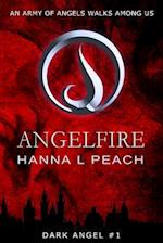 Angelfire (Dark Angel #1)