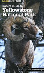 Nature Guide to Yellowstone National Park