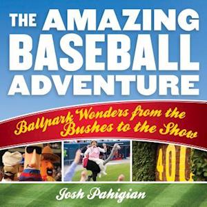 Amazing Baseball Adventure