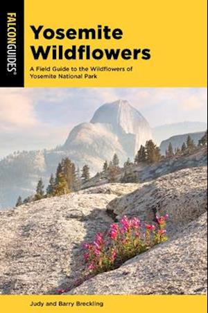 Yosemite Wildflowers