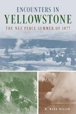 Encounters in Yellowstone