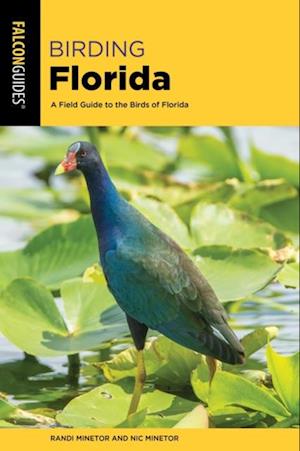 Birding Florida