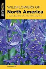 Wildflowers of North America