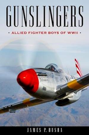 Gunslingers : Allied Fighter Boys of WWII