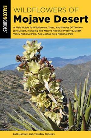 Mojave Desert Wildflowers