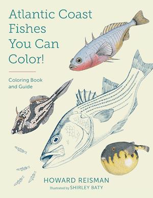 Atlantic Coast Fishes You Can Color!