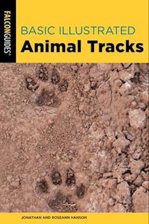 Basic Illustrated Animal Tracks