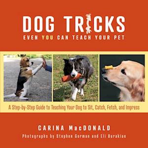 Dog Tricks Even You Can Teach Your Pet