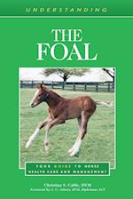 Understanding the Foal