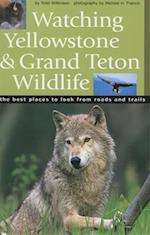 Watching Yellowstone and Grand Teton Wildlife