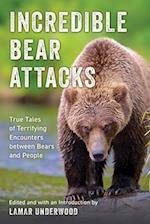 When Bears Attack