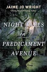 Night Falls on Predicament Avenue