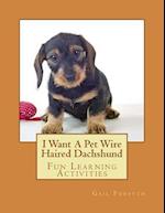 I Want a Pet Wire Haired Dachshund