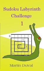 Sudoku Labyrinth Challenge 1