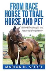 From Race Horse to Trail Horse and Pet
