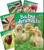 Grade K Life Science Set (5 Books)