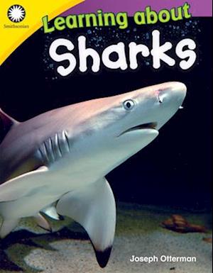 Learning about Sharks (Kindergarten)