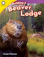 Building a Beaver Lodge (Kindergarten)