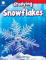 Studying Snowflakes (Grade 1)