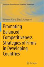 Promoting Balanced Competitiveness Strategies of Firms in Developing Countries
