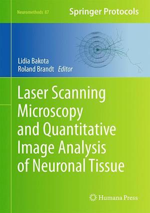 Laser Scanning Microscopy and Quantitative Image Analysis of Neuronal Tissue