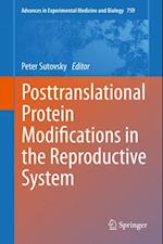 Posttranslational Protein Modifications in the Reproductive System