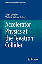 Accelerator Physics at the Tevatron Collider