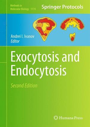 Exocytosis and Endocytosis