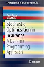 Stochastic Optimization in Insurance