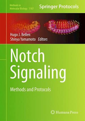 Notch Signaling