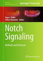 Notch Signaling