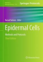 Epidermal Cells