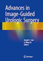 Advances in Image-Guided Urologic Surgery