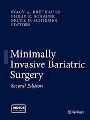 Minimally Invasive Bariatric Surgery