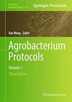 Agrobacterium Protocols